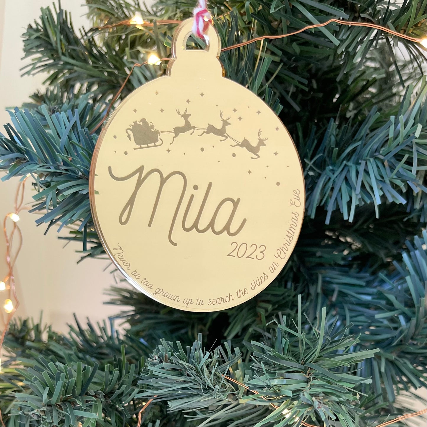 Search the Skies Ornament