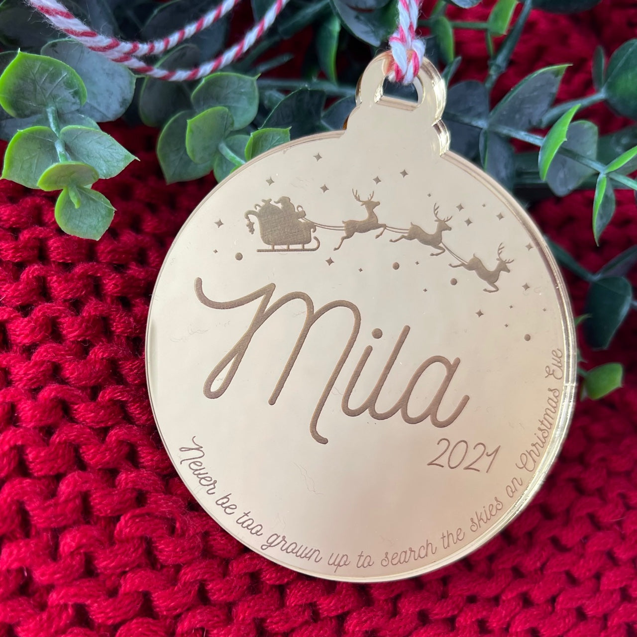 Search the Skies Ornament