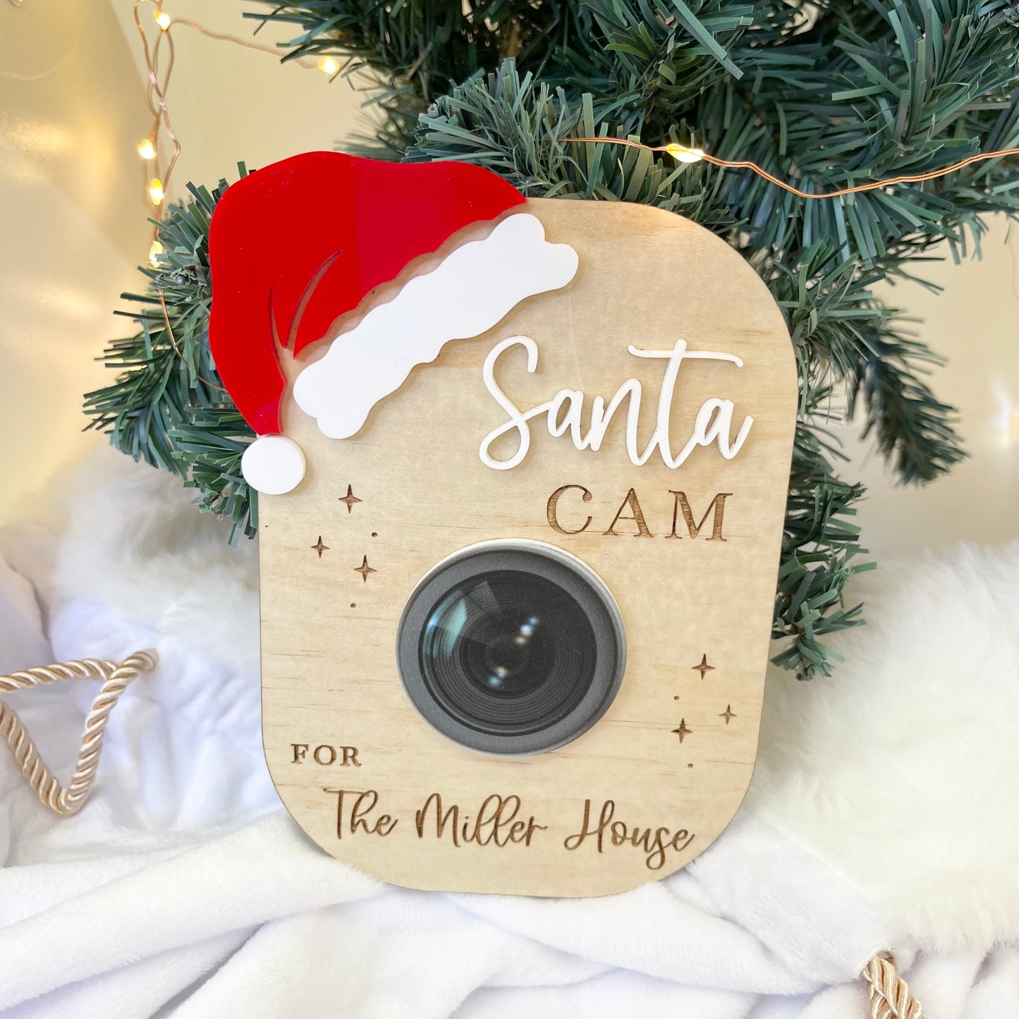 Santa Cam