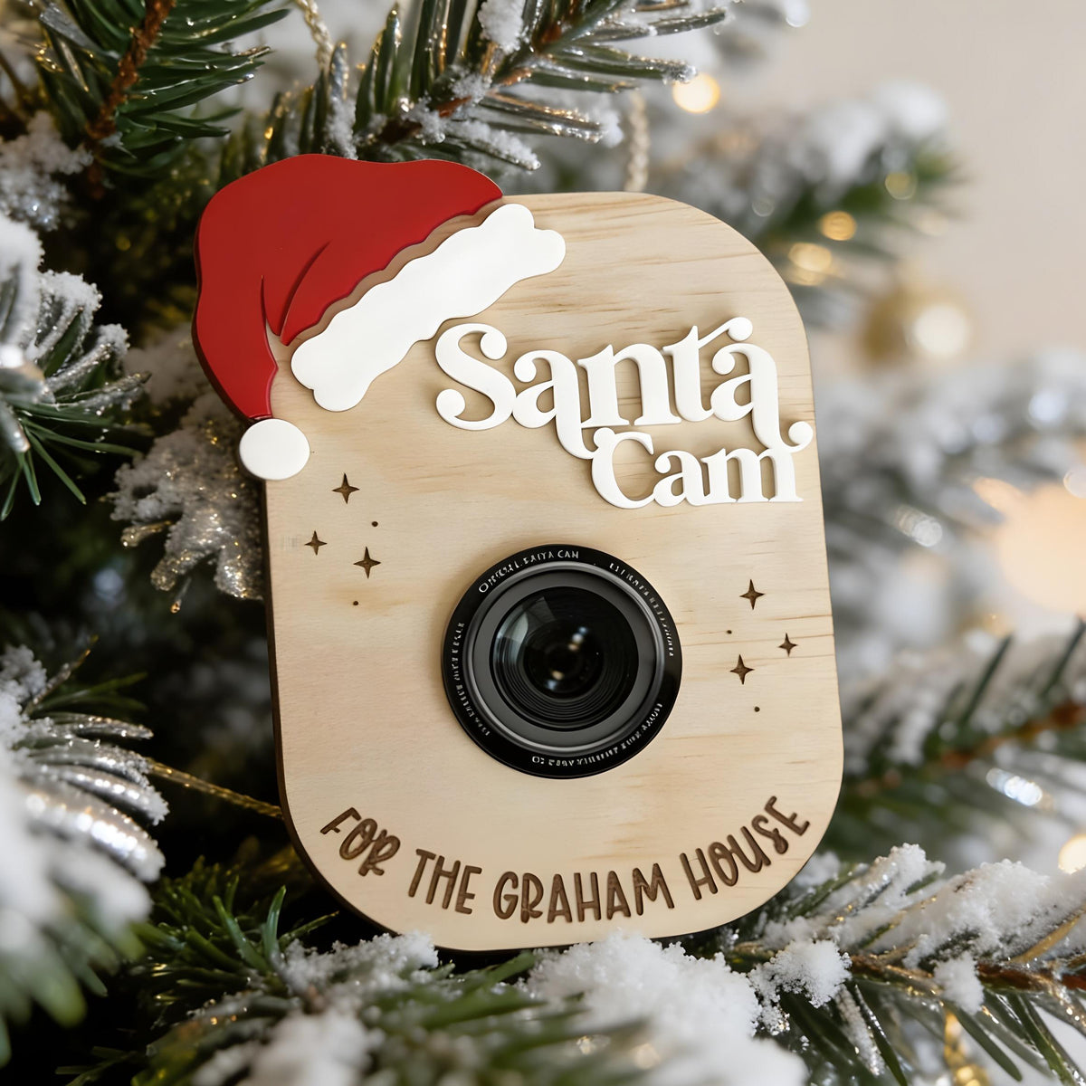 Santa Cam
