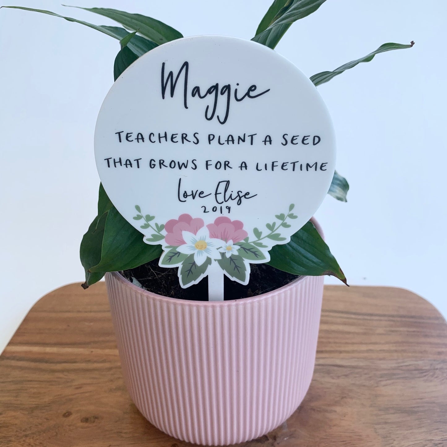 Teacher Planter Stem